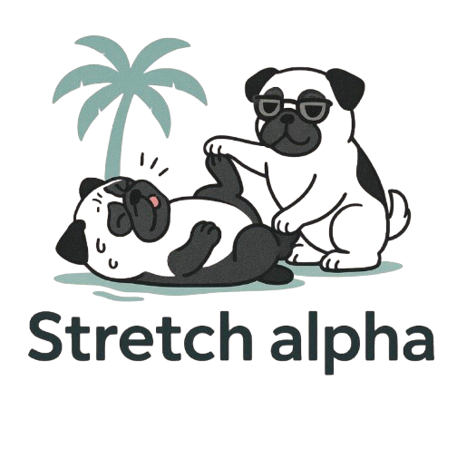 stretch alpha ストレッチアルファ
